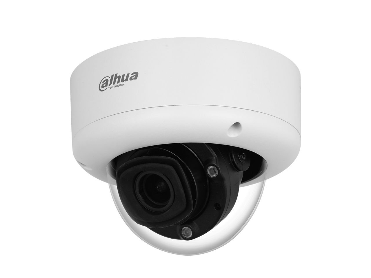 DOME WIZMIND Network Camera-2